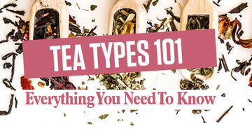 Tea Types 101: Everything You Need To Know