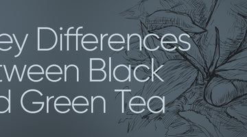 3 Key Differences Between Black and Green Tea