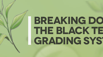 Breaking Down The Black Tea Grading System